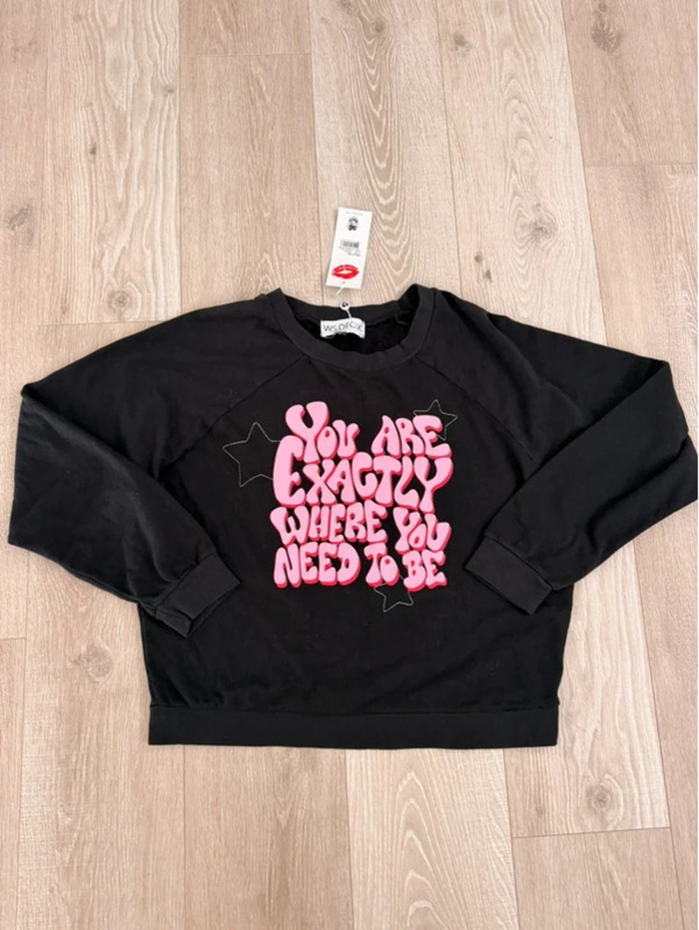 Wildfox crewneck sweatshirt